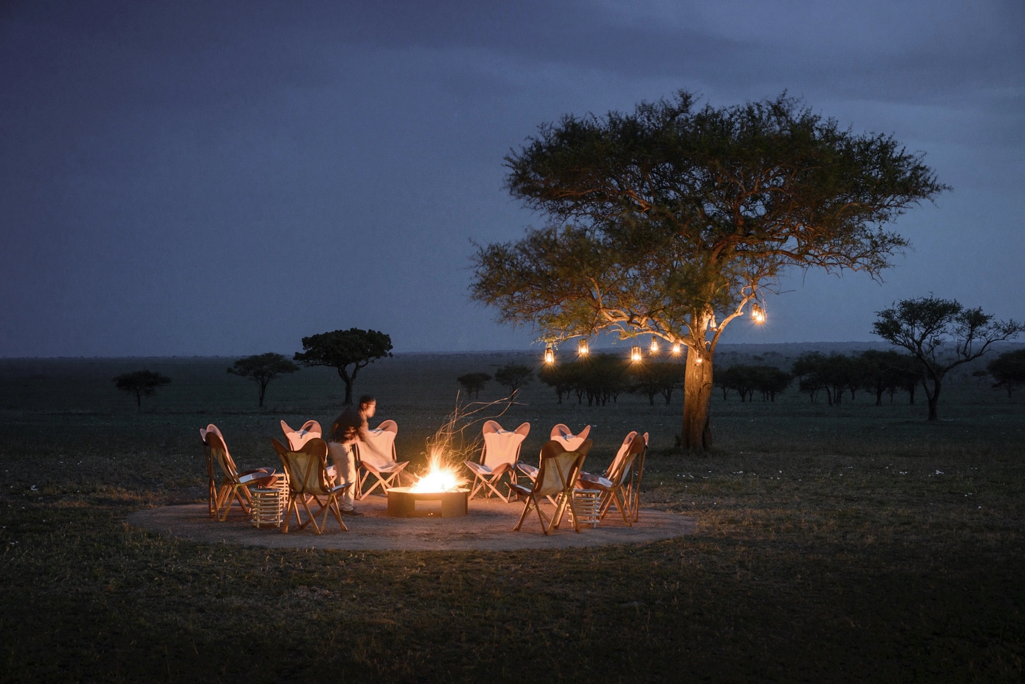 Top Central Serengeti Lodge Directory 2026: The Heart of the Ecosystem