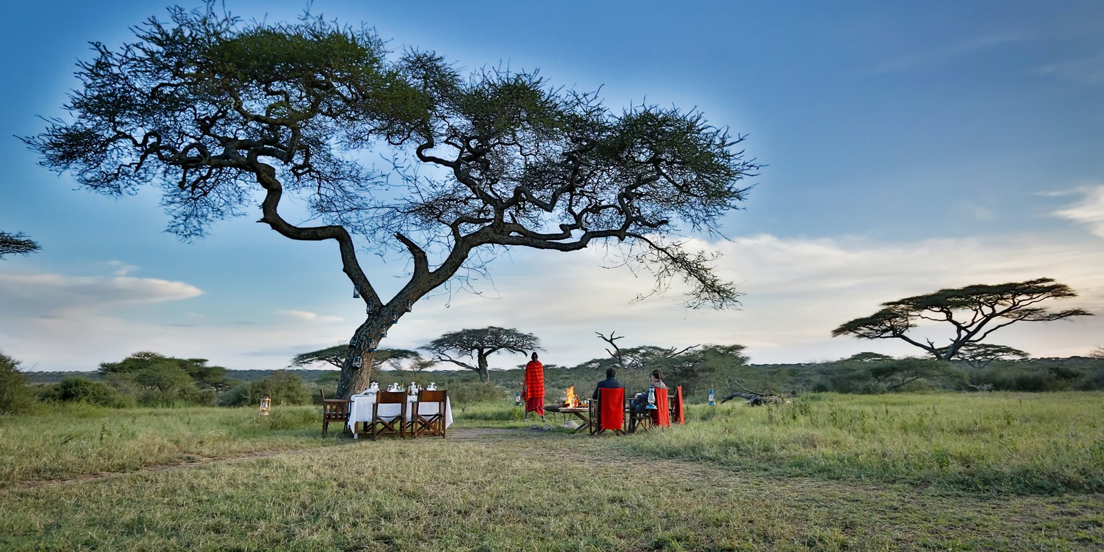 Tarangire Best Lodges Directory Land of Elephants and Baobabs (2026)