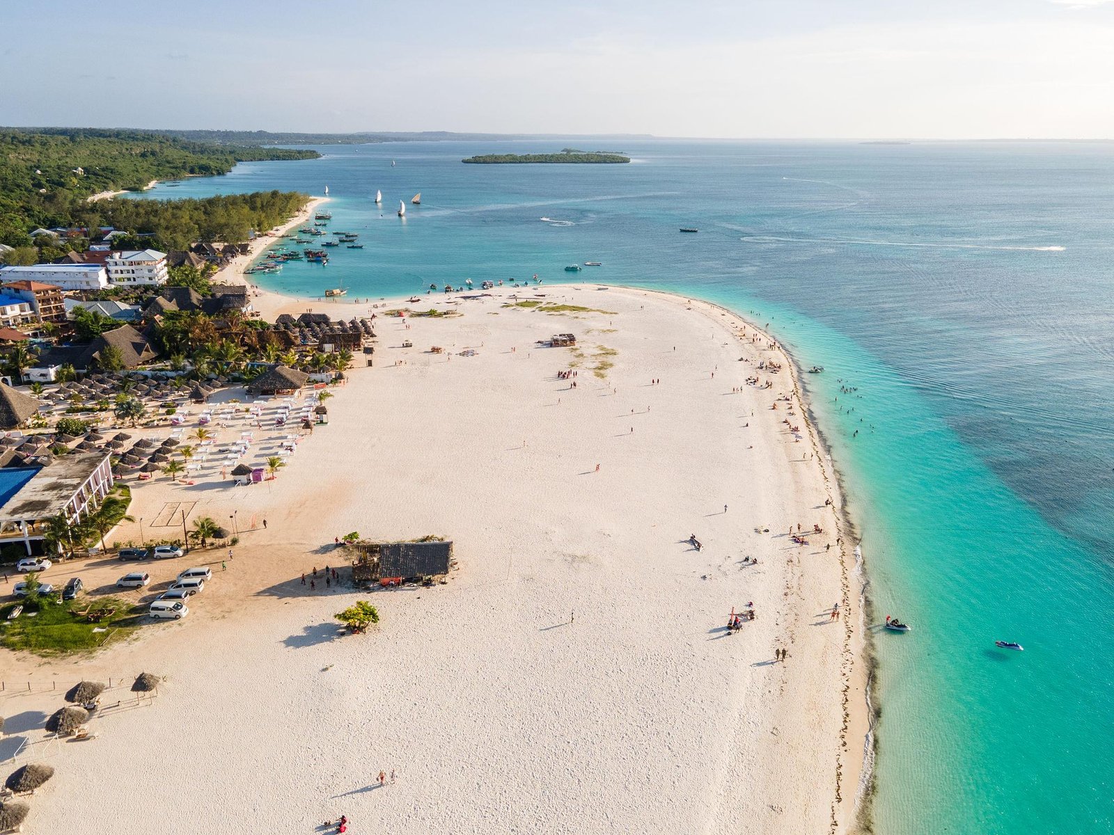 Bush & Beach Safaris