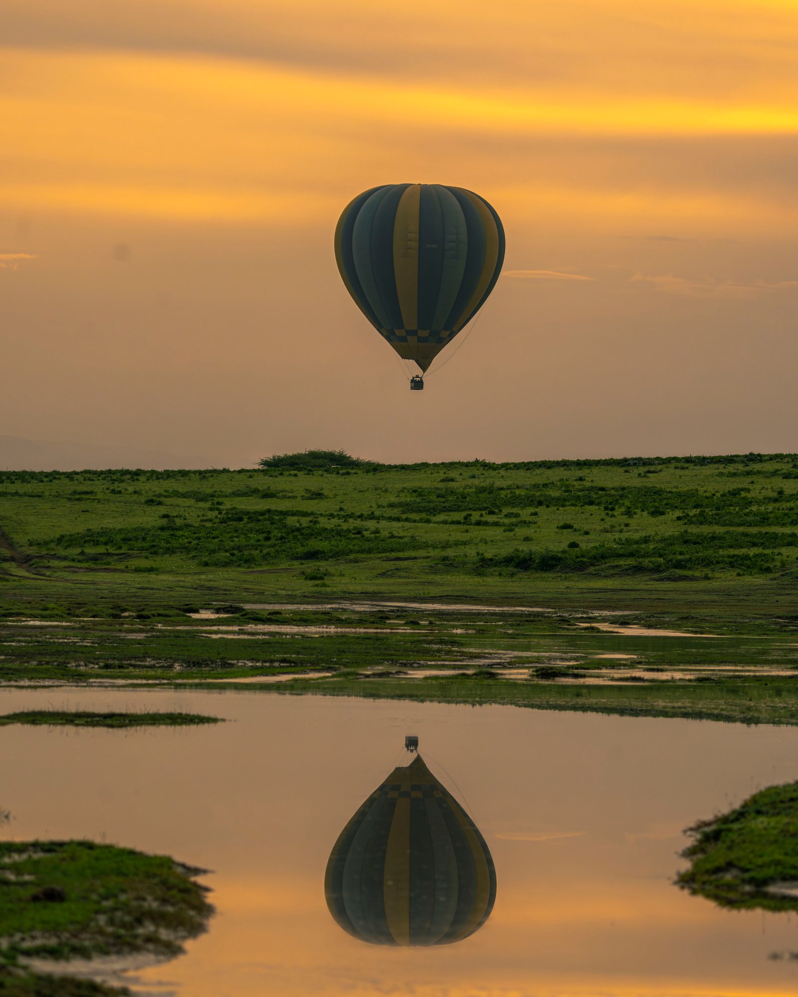 Safari de lujo