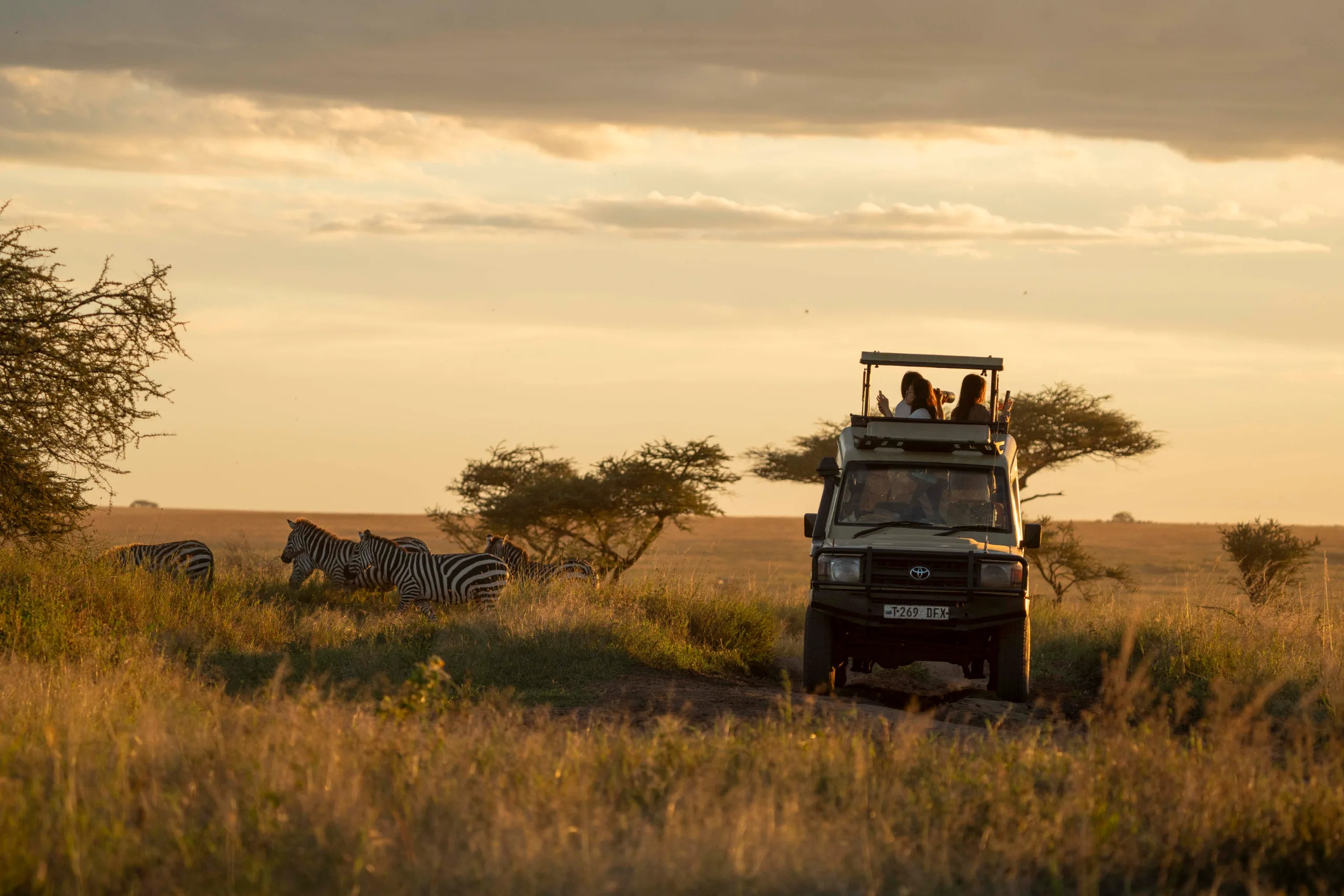 Great Migration Family Safari & Zanzibar Beach Retreat