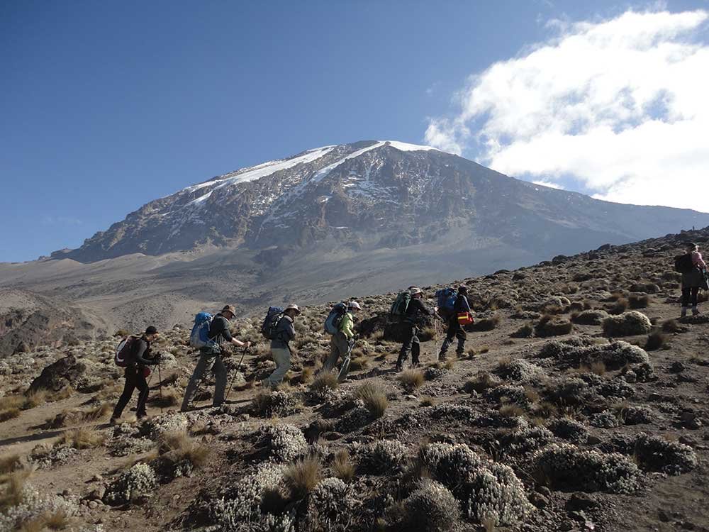 9 Days Lemosho Route Climb