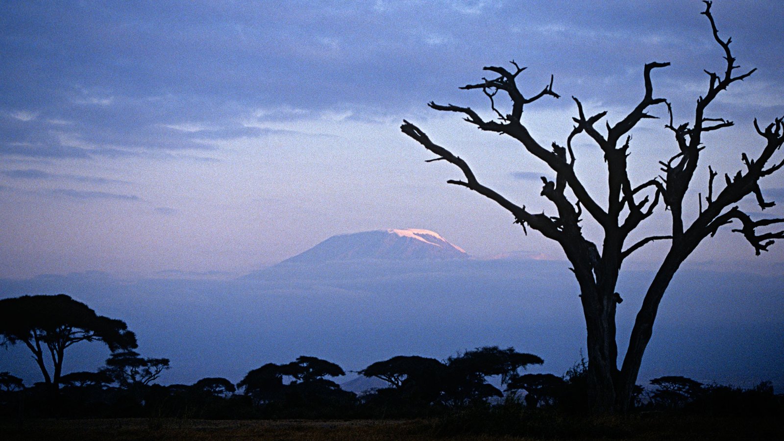 10 Days in Kenya & Tanzania