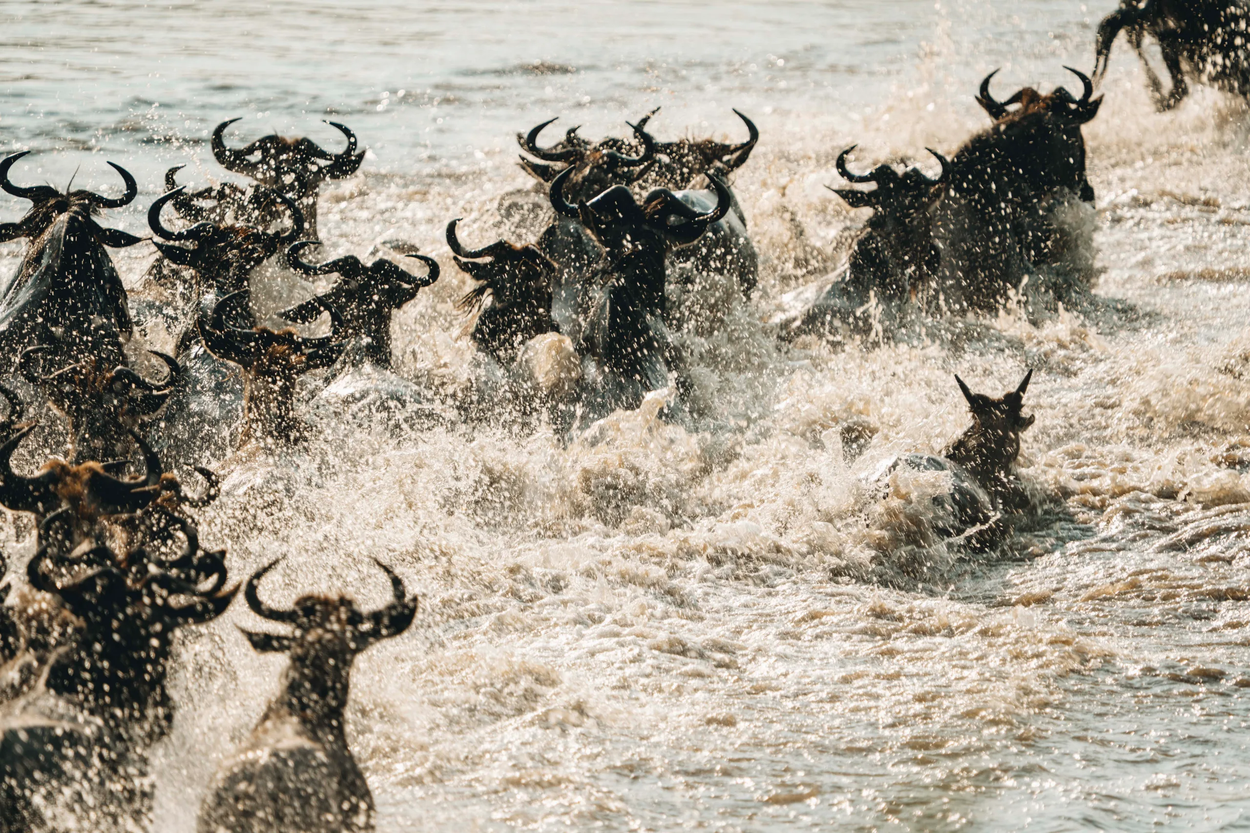 Great Migration Family Safari: Serengeti River Crossing & Ngorongoro