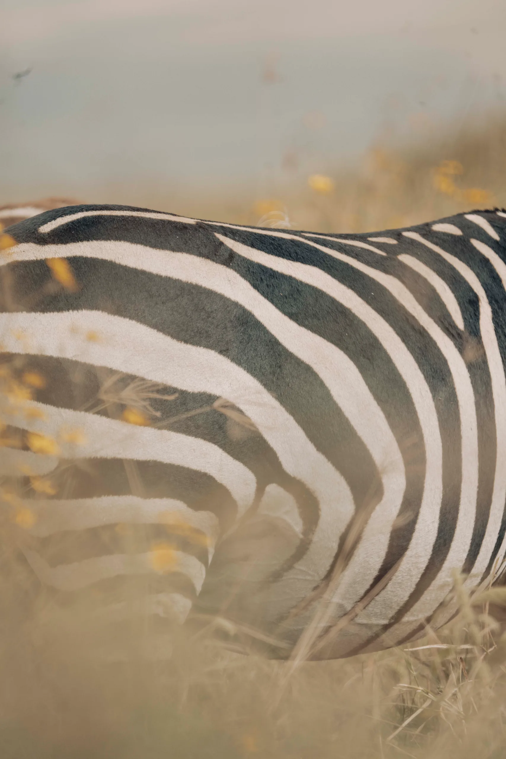 Great Migration Honeymoon Safari & Zanzibar Beach Retreat