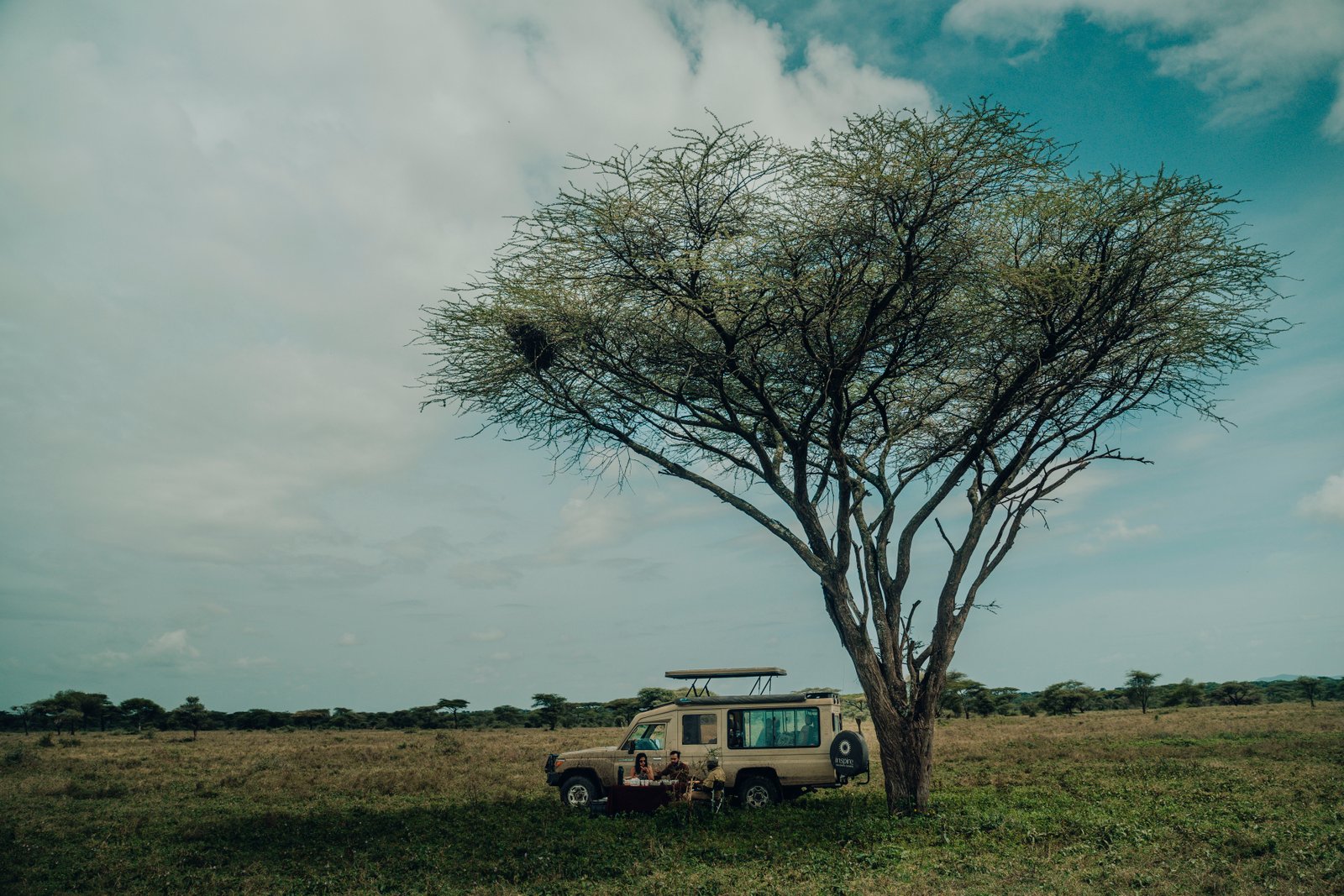 8 Days in Northern Tanzania & Zanzibar
