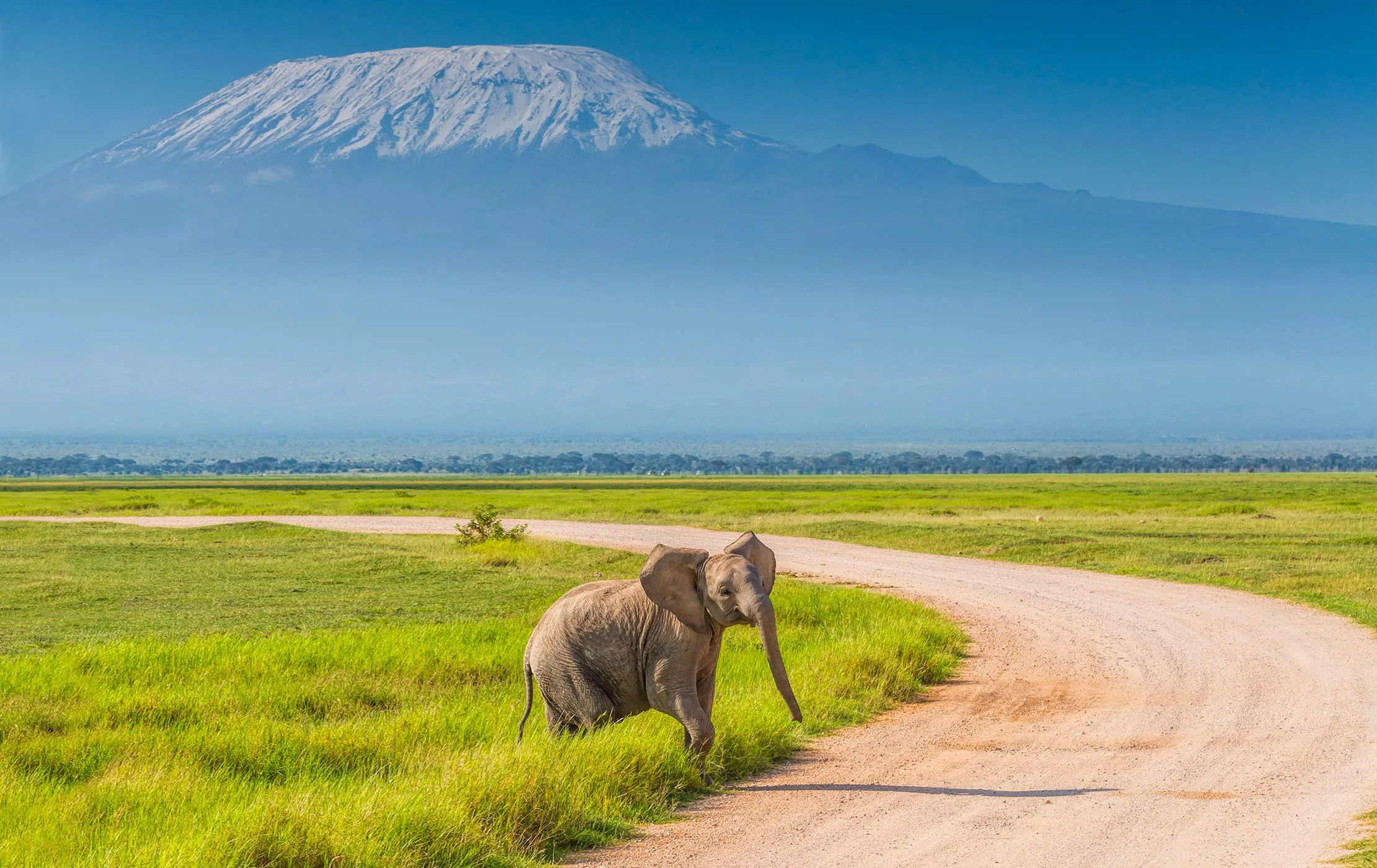 Drive to Amboseli National Park