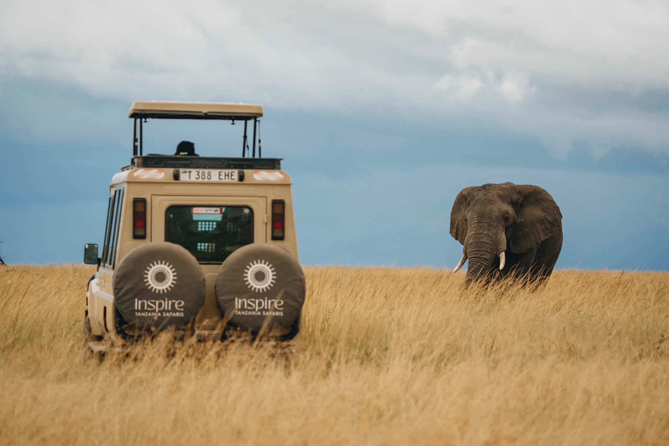 Un d&iacute;a completo en Tarangire