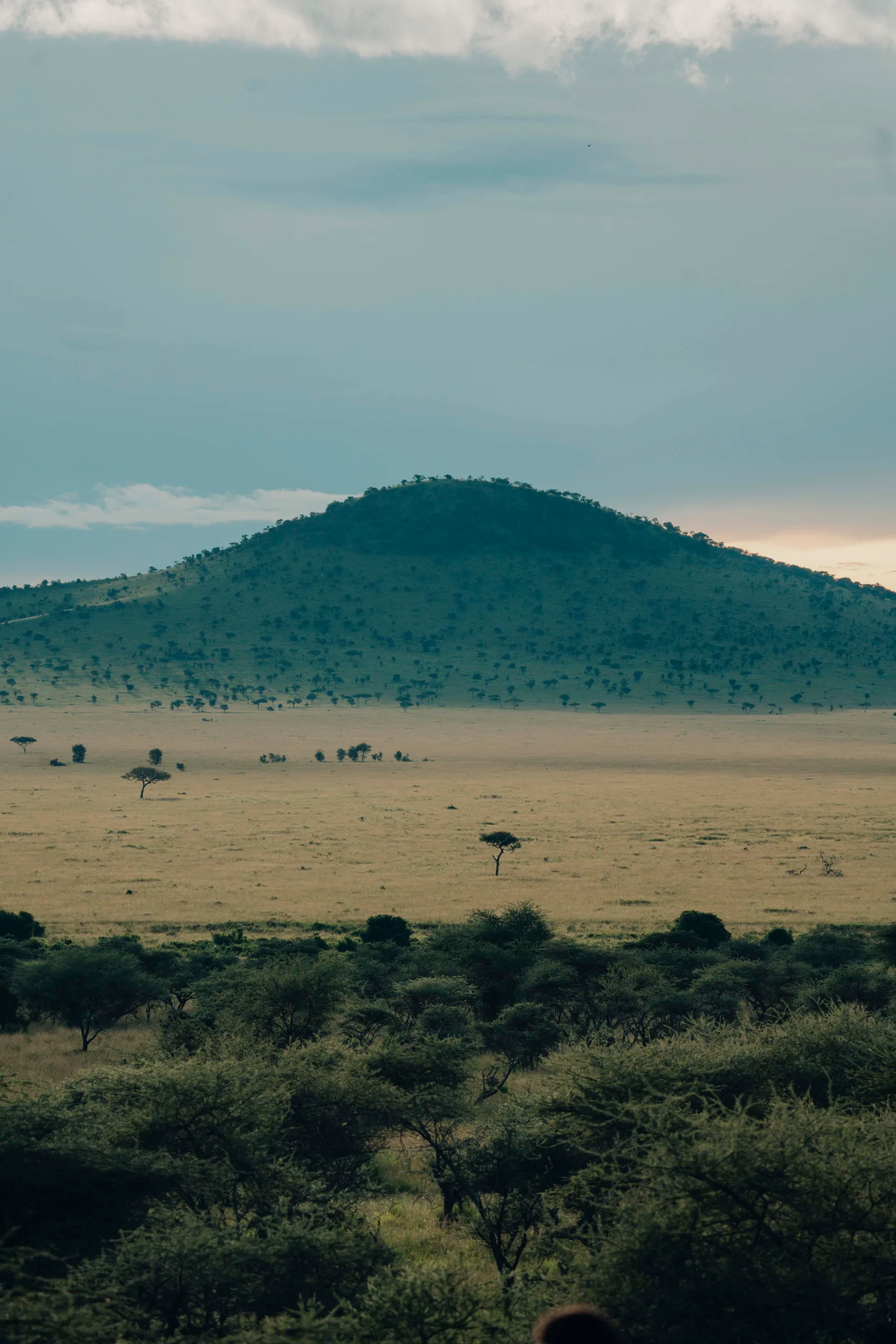 A Full Day on the Plains
