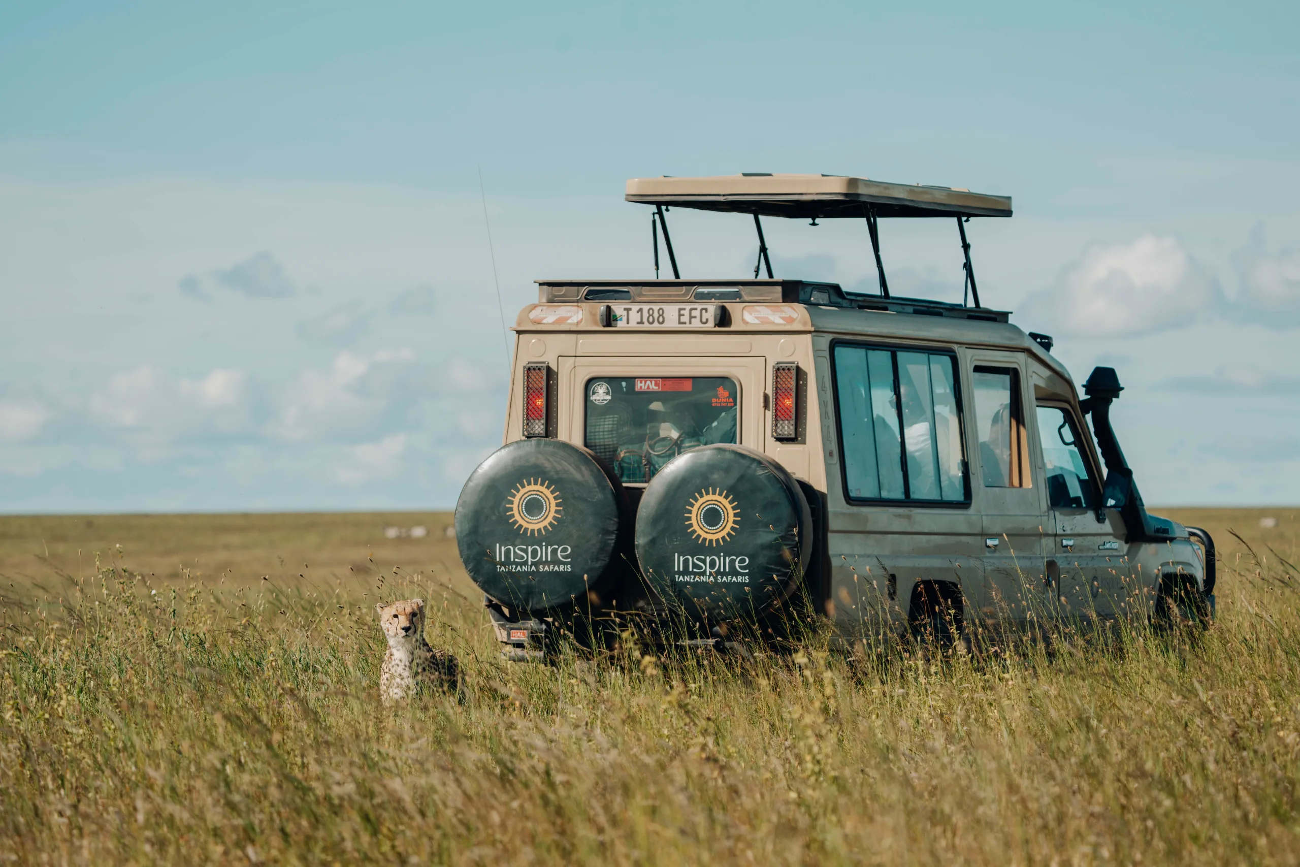 Full Day in the Central Serengeti