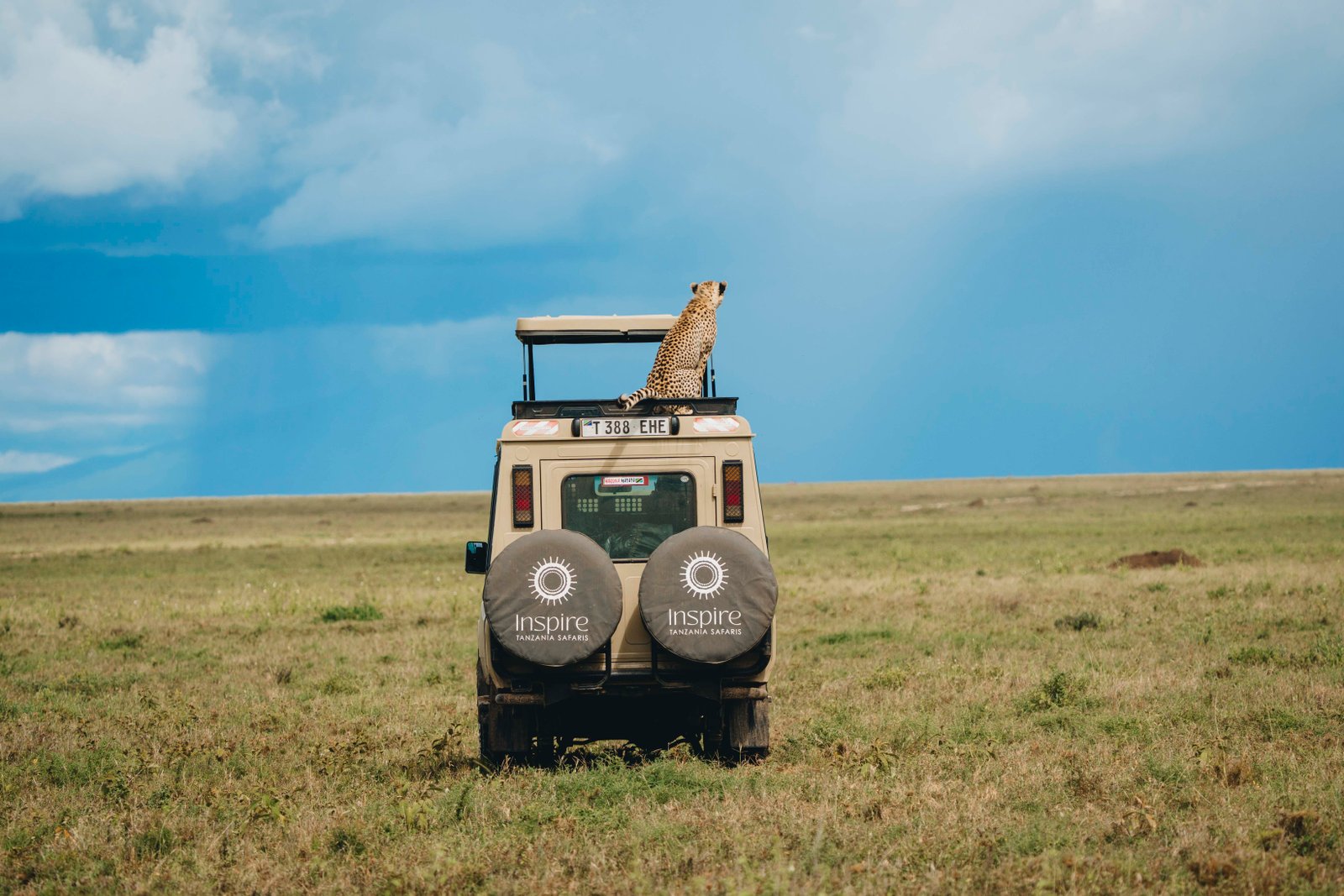 About Inspire Tanzania Safaris