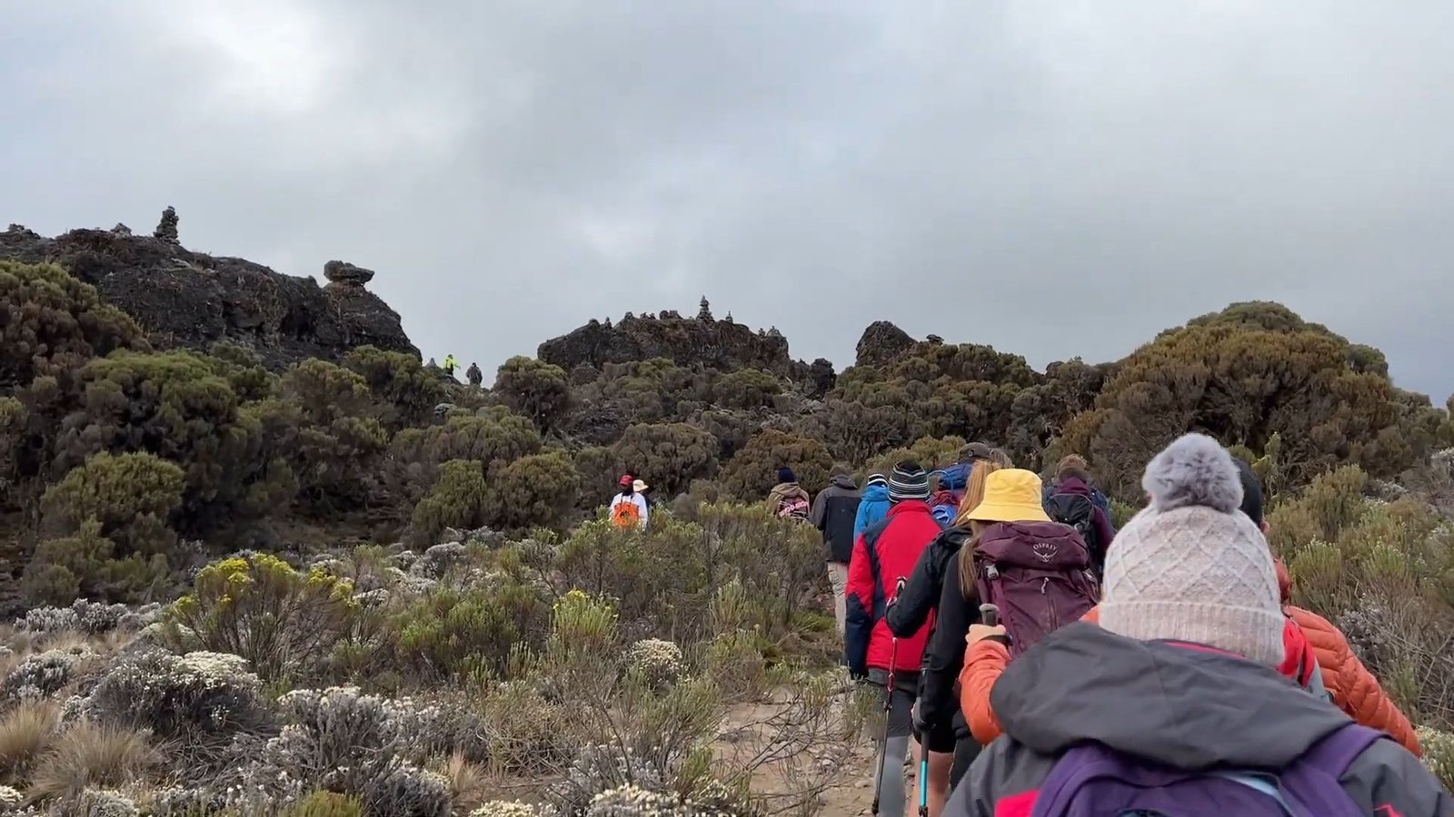 Machame Route