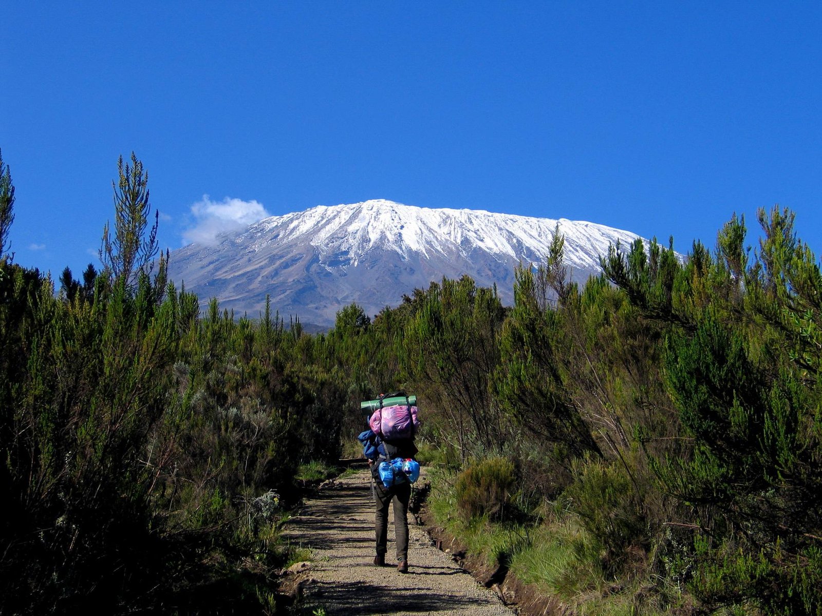 Rongai Route